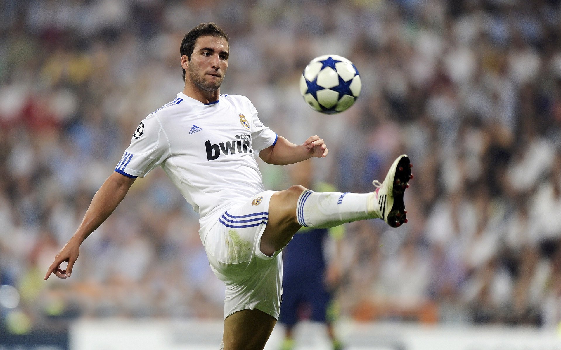 世界杯：不同联赛球员在混合更衣室的融合度 被视作选人时的隐形考量